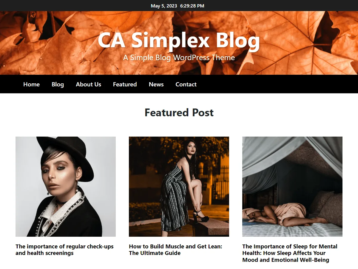 CA Simplex Blog web sitesi teması örneği