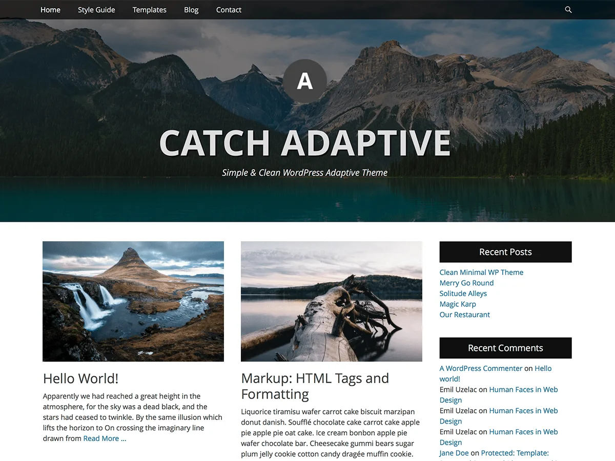 Catch Adaptive web sitesi teması önizlemesi
