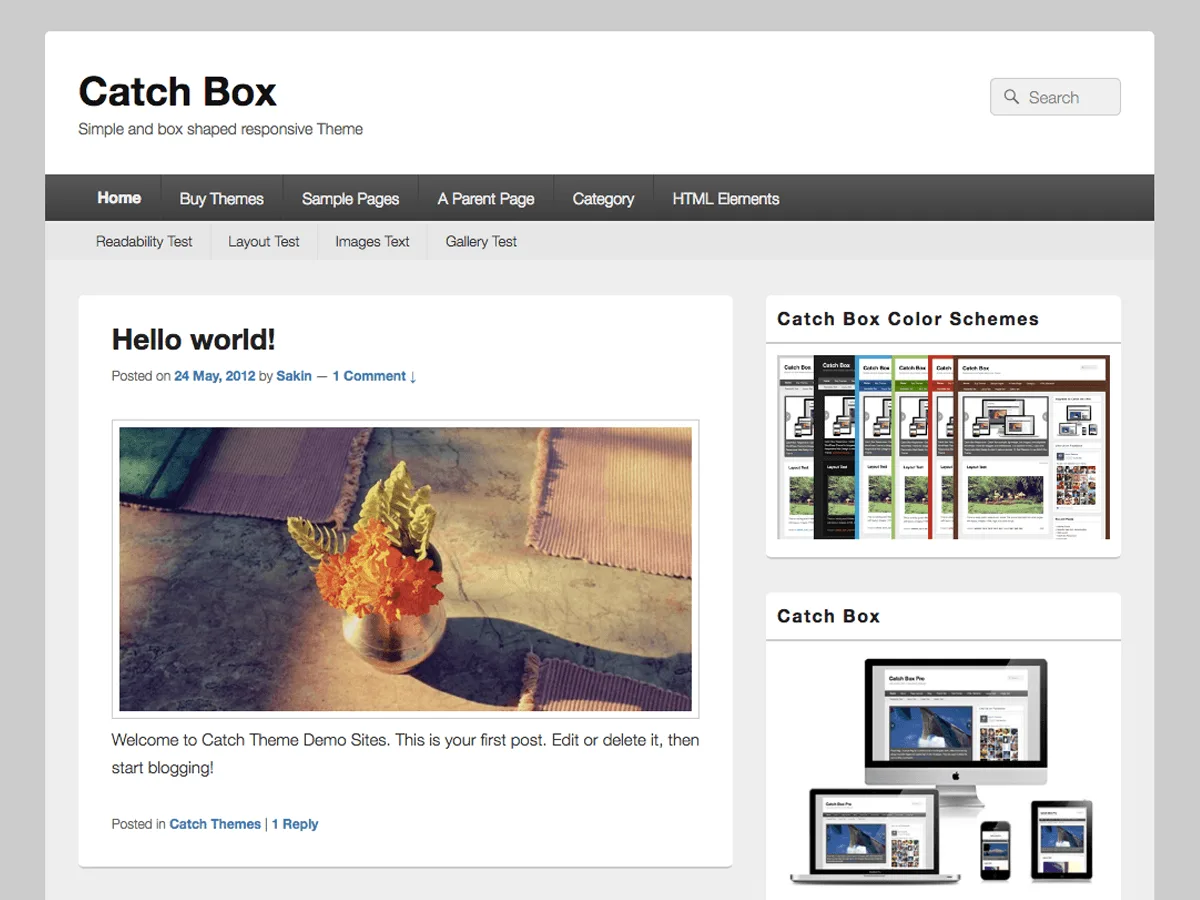 Catch Box WordPress theme responsive design preview
