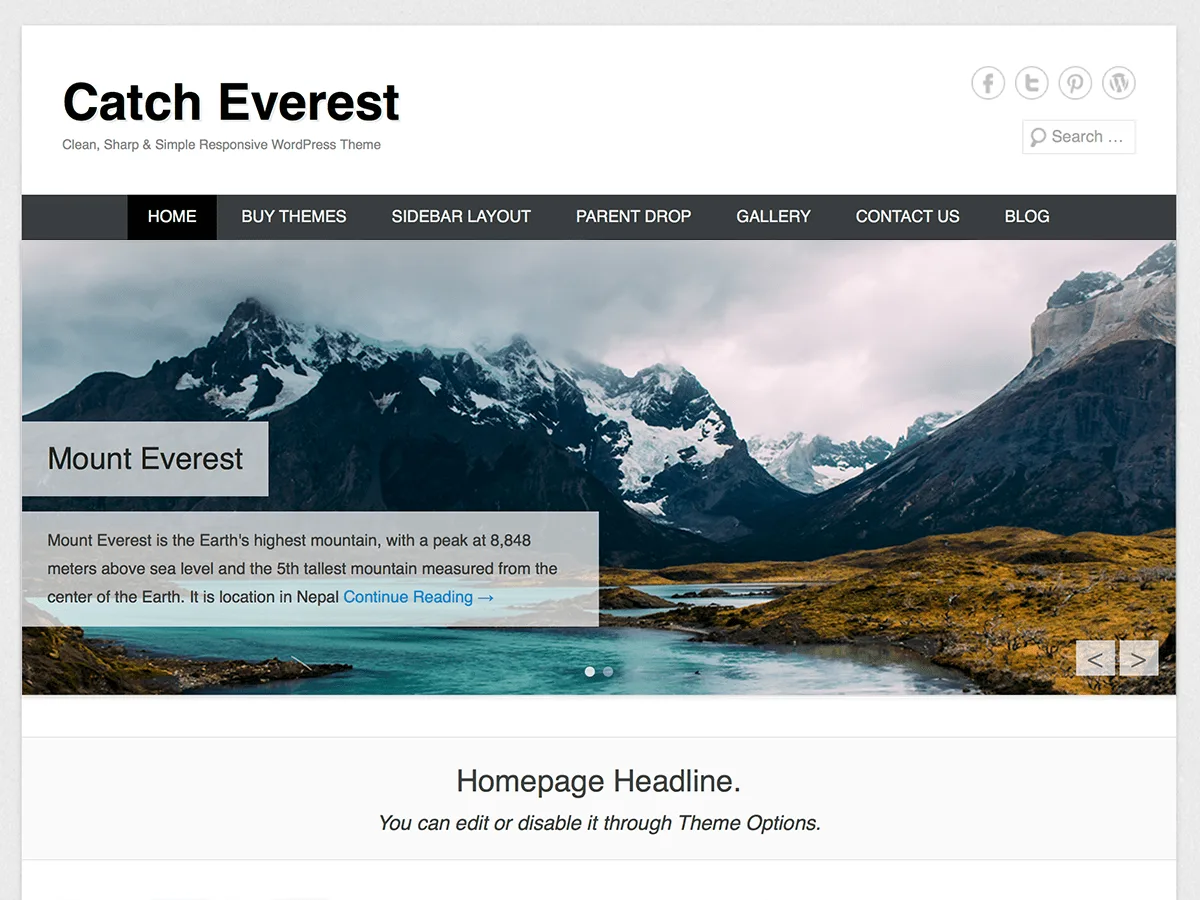 Catch Everest web sitesi teması önizlemesi