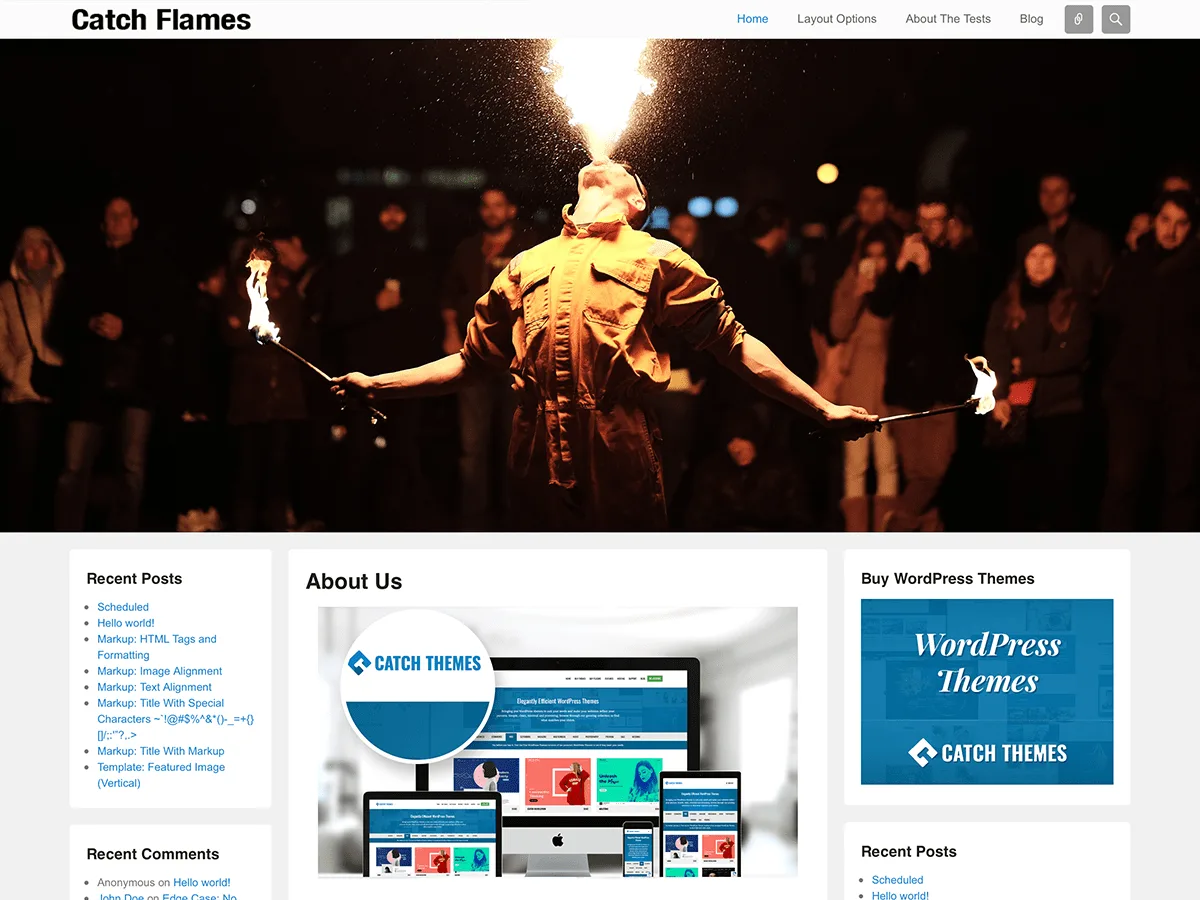 Catch Flames web sitesi teması genel görünüm