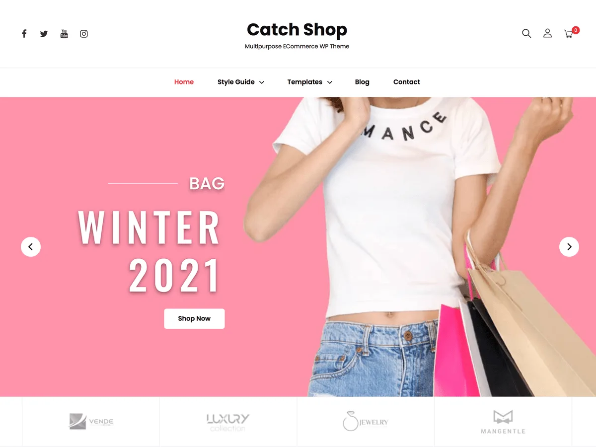 Catch Shop web sitesi teması görseli
