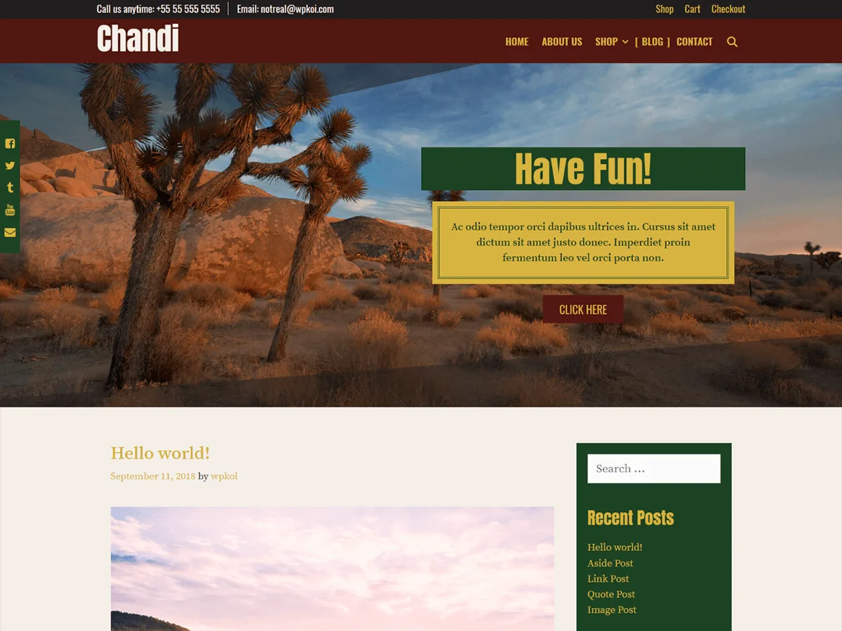 Chandi web sitesi teması ile oluşturulmuş modern bir web sitesi görünümü