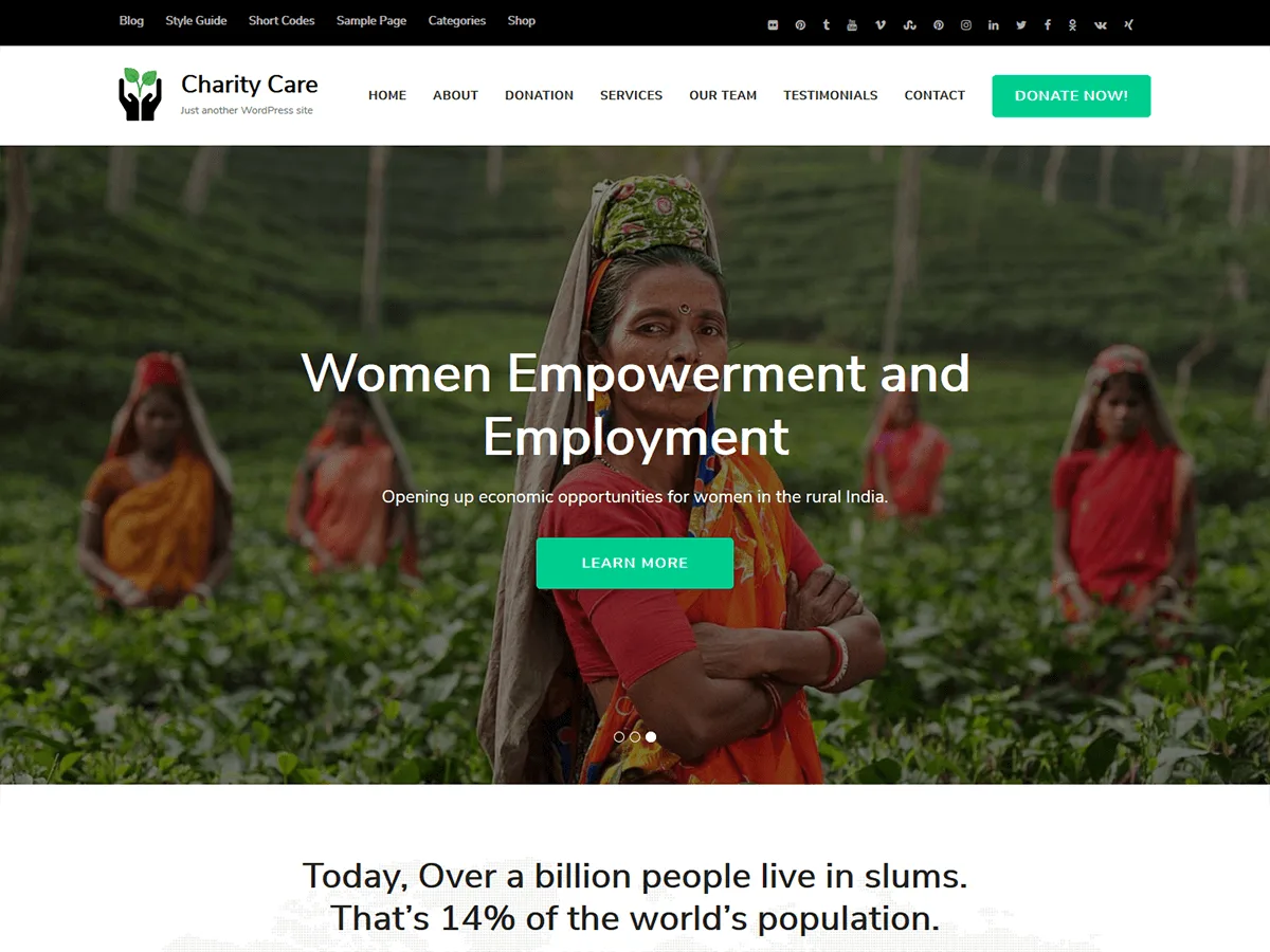 Charity Care web sitesi teması ile oluşturulmuş örnek bir bağış toplama sayfası