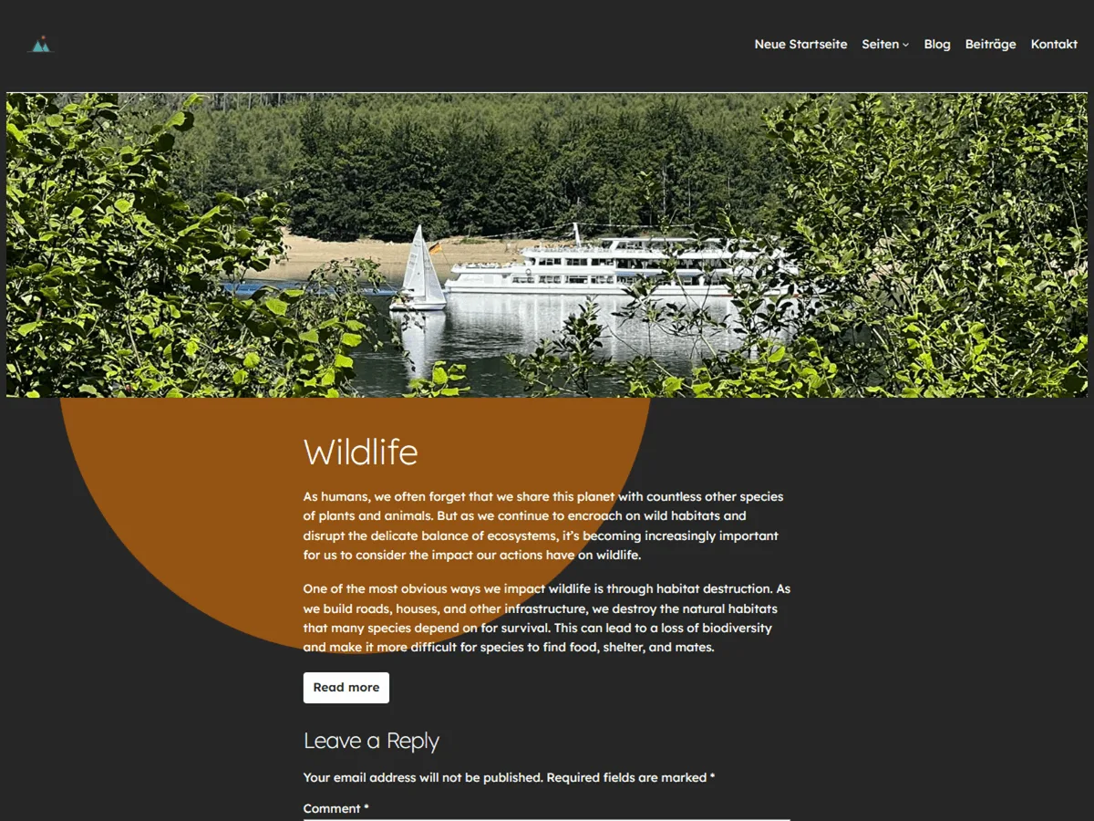 Circles WP web sitesi temasının siyah-beyaz tasarımı ve turuncu daire grafiği