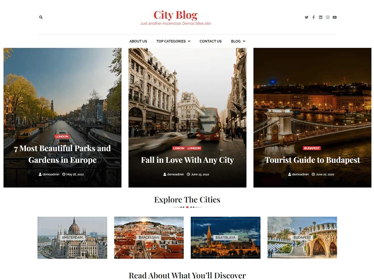 City Blog web sitesi teması önizlemesi