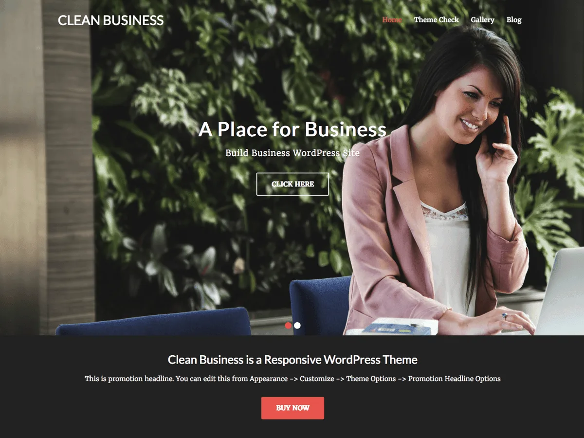 Clean Business web sitesi teması önizlemesi