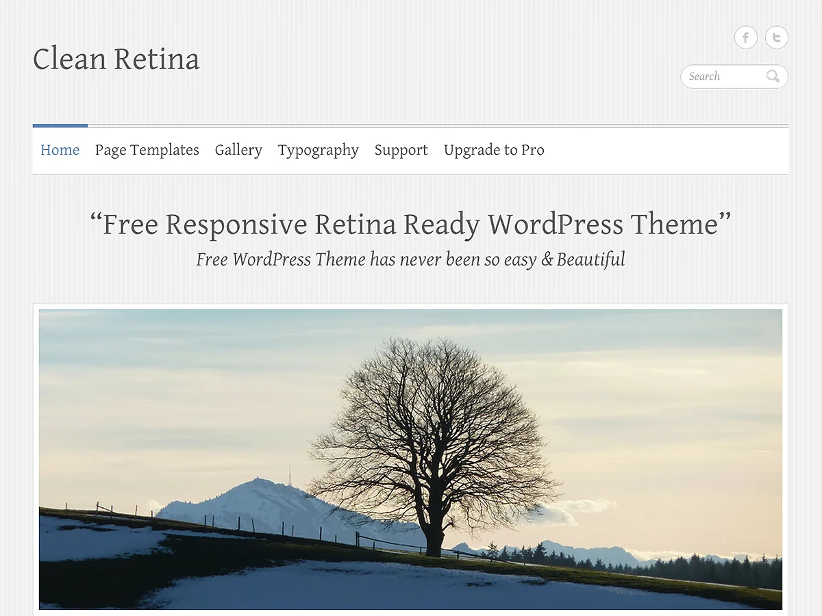 Clean Retina WordPress theme responsive design preview
