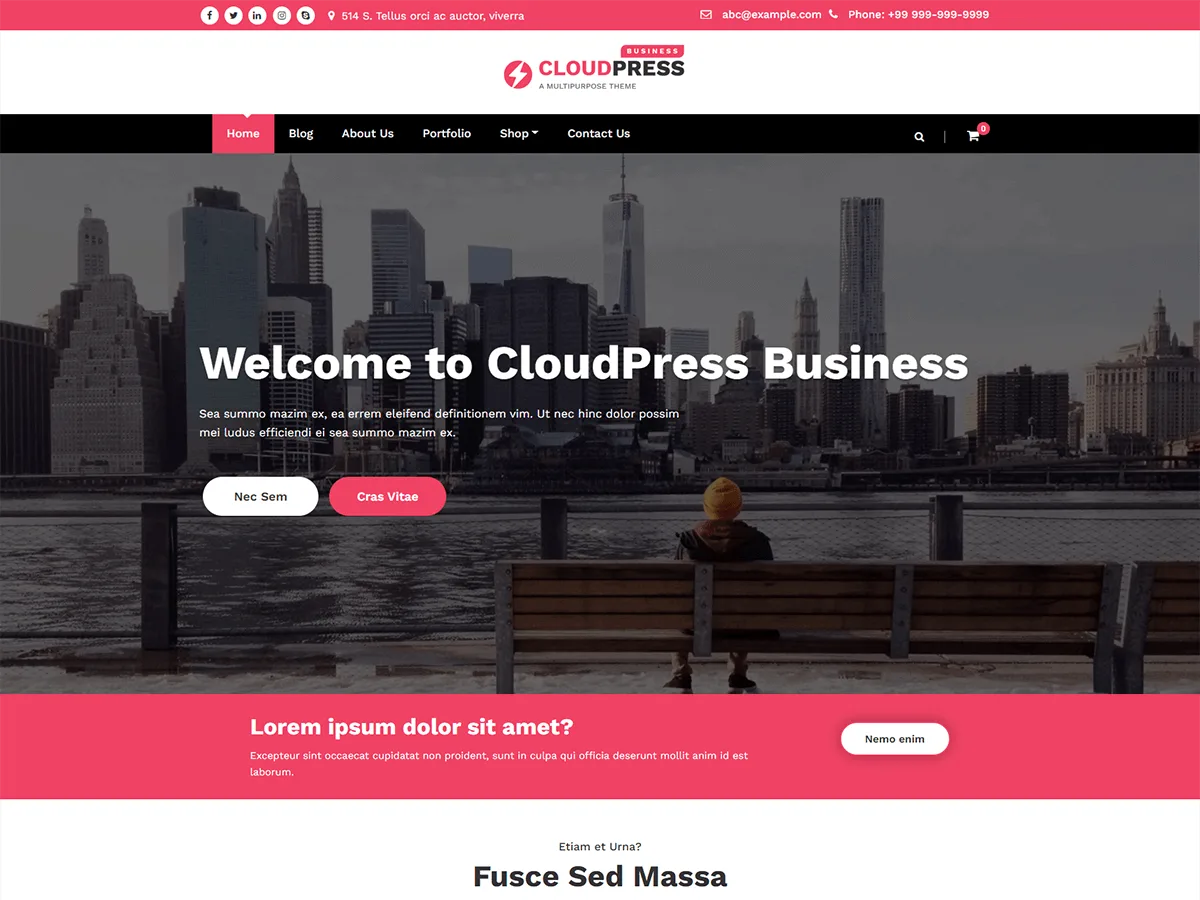 CloudPress Business web sitesi teması önizlemesi