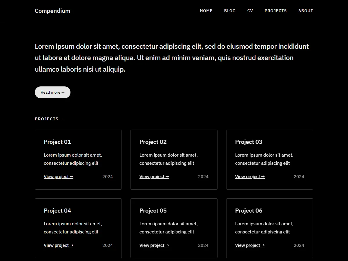 Compendium portfolyo web sitesi teması önizlemesi