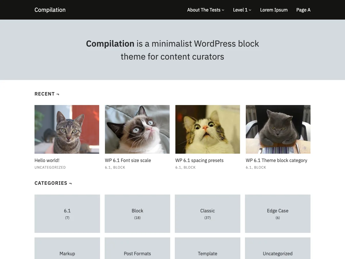 Compilation web sitesi teması minimalist tasarım örneği