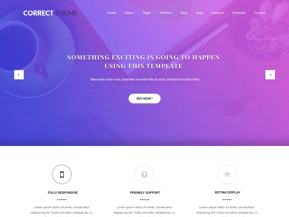 Correct Lite web sitesi teması önizlemesi