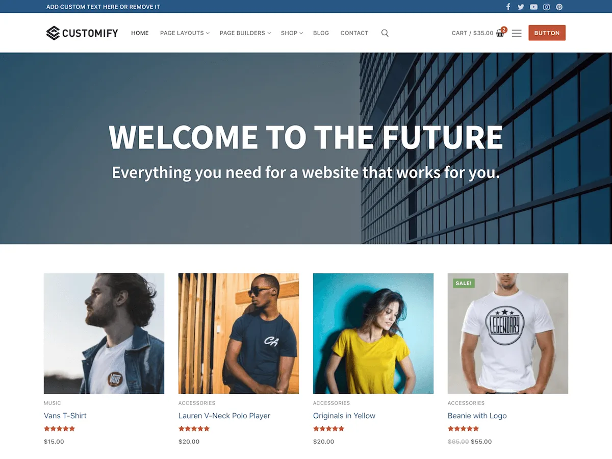 Customify WordPress theme homepage preview