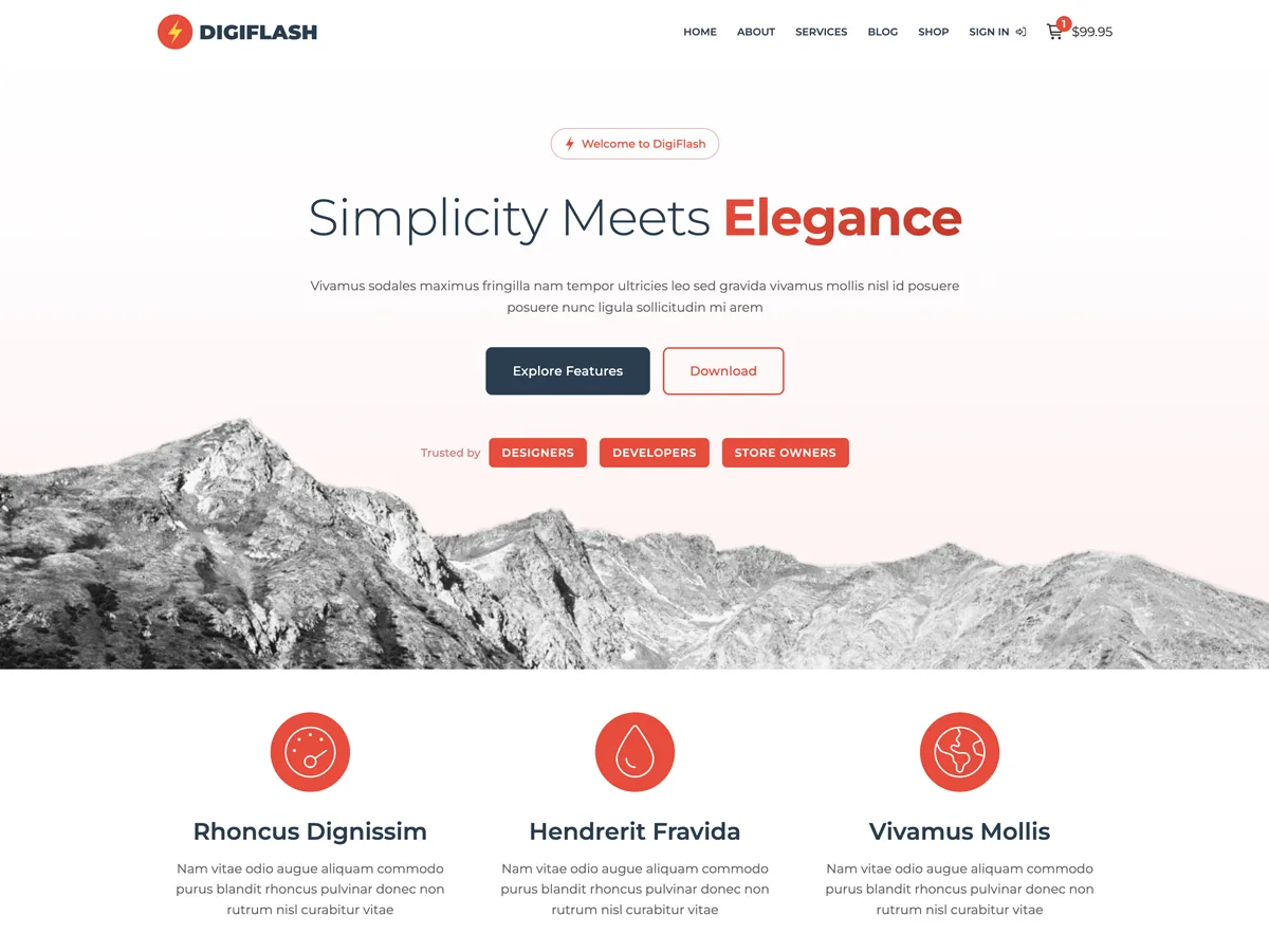 DigiFlash web sitesi teması ile oluşturulmuş modern bir web sitesi görünümü