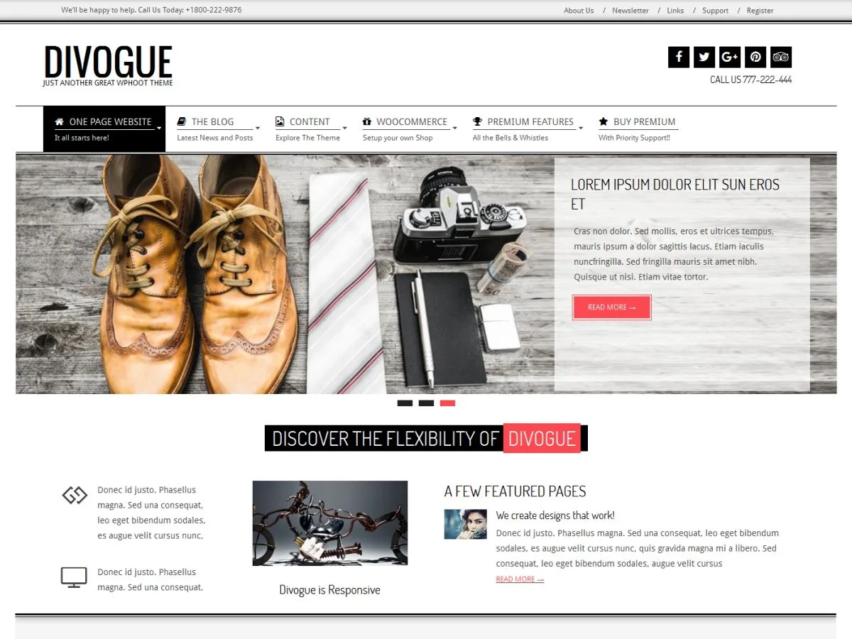 Divogue web sitesi teması önizlemesi