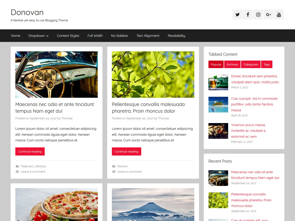 Donovan web sitesi teması önizlemesi