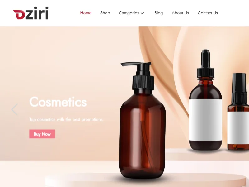 Dziri web sitesi teması ile e-ticaret mağaza görünümü