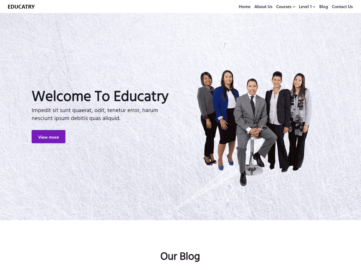 Educatry web sitesi teması önizlemesi