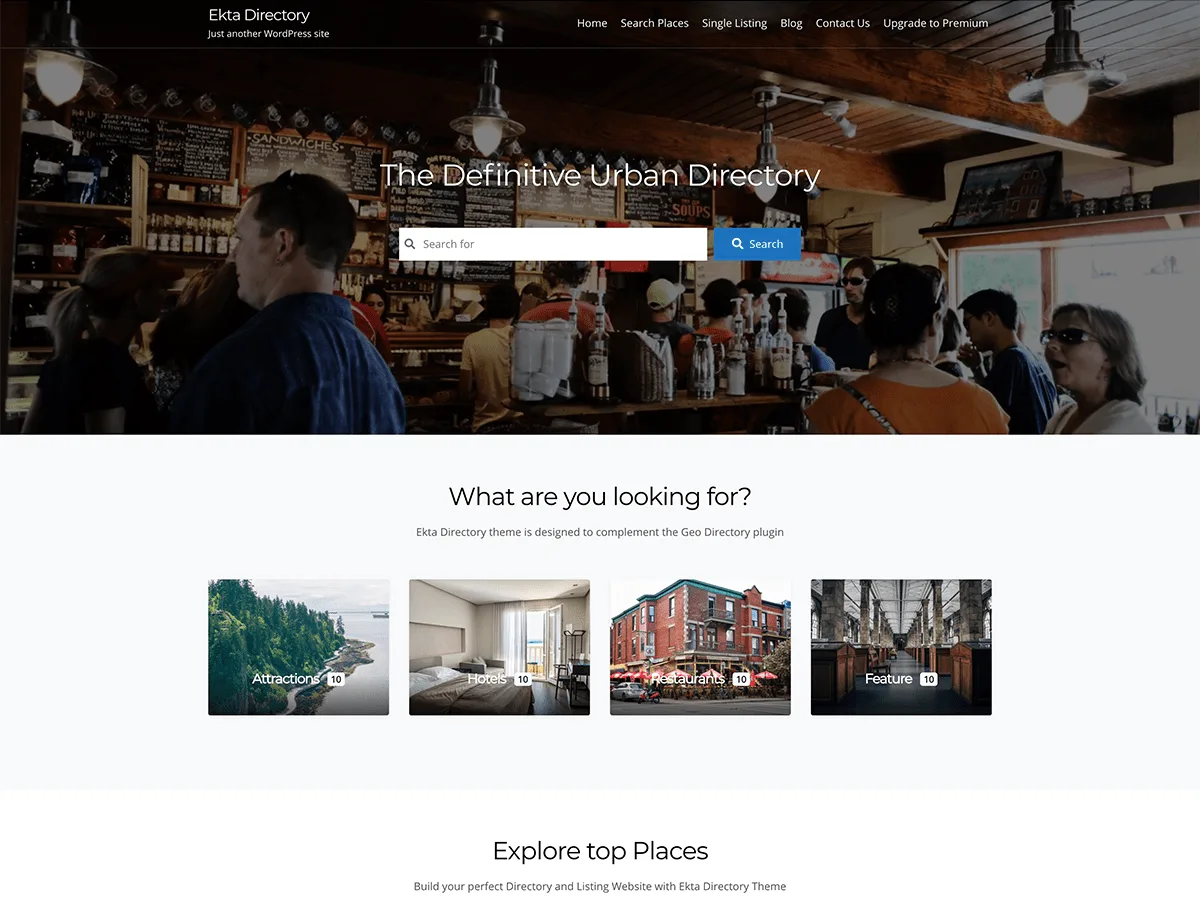 Ekta Directory web sitesi teması ile dizin ve listeleme sitesi örneği