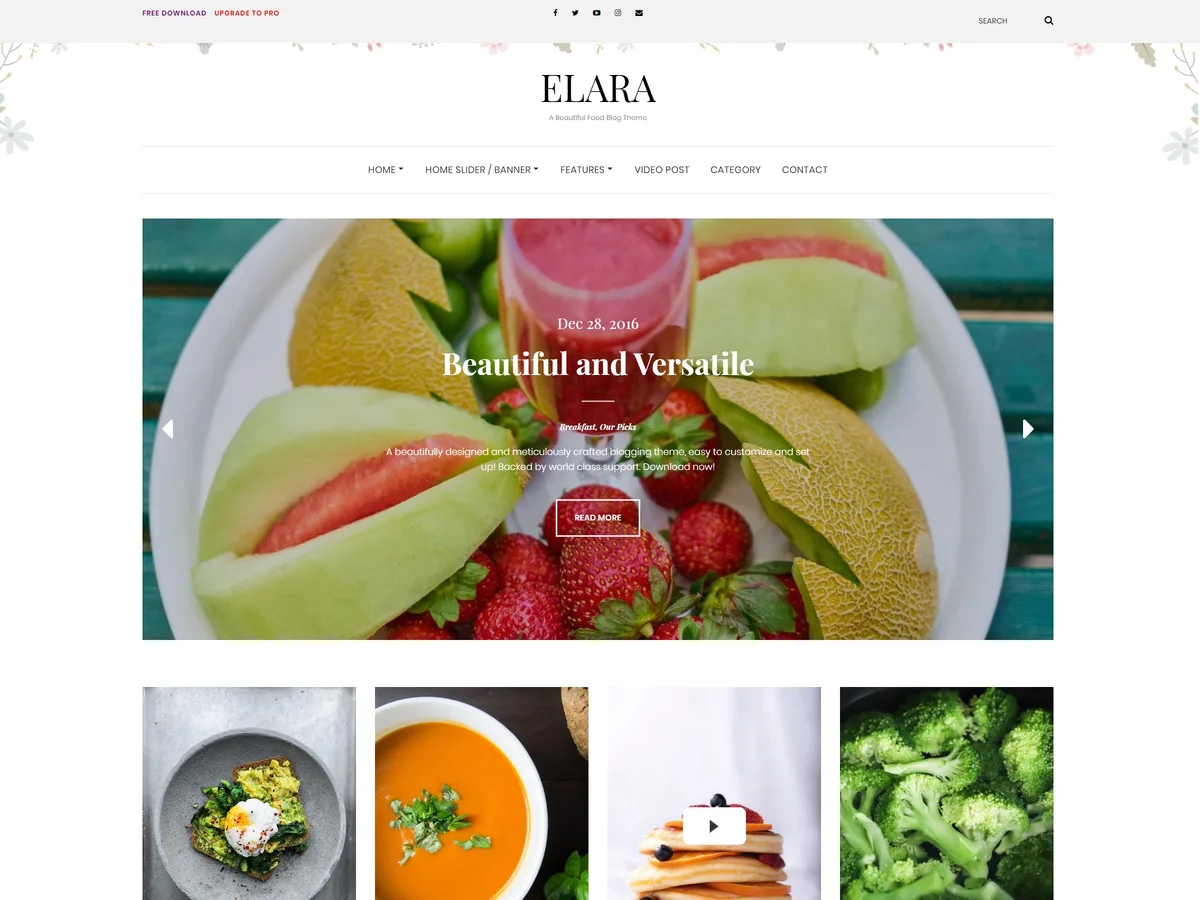 Elara web sitesi teması önizlemesi