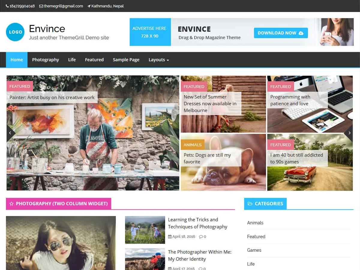 Envince web sitesi teması önizlemesi