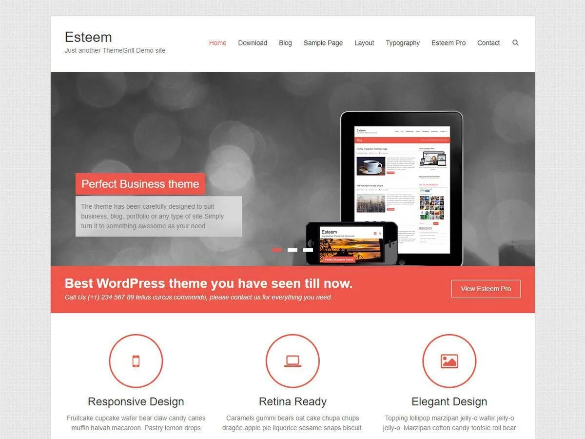 Esteem WordPress theme homepage preview