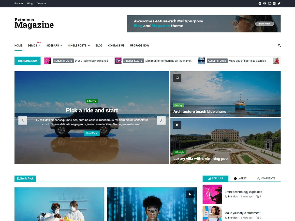 Eximious Magazine web sitesi teması ile çevrimiçi dergi tasarımı