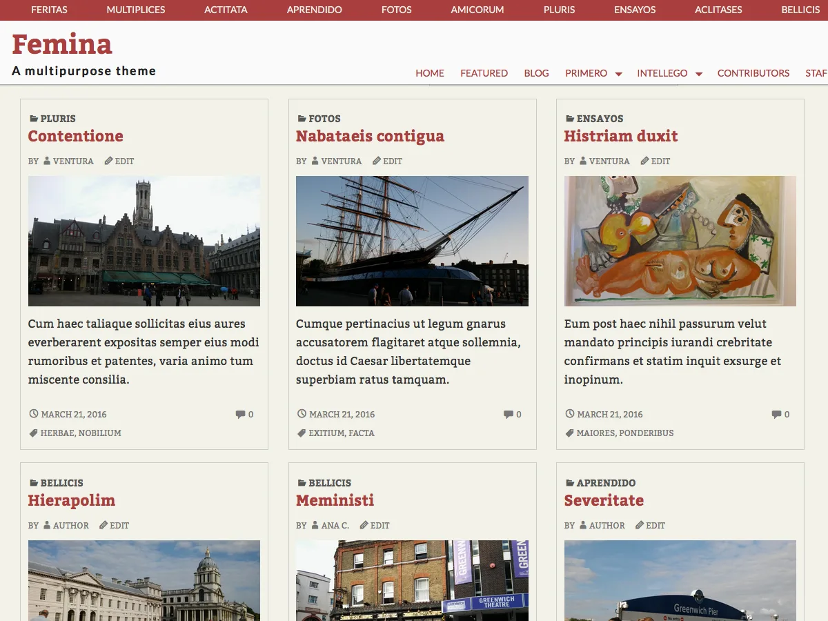 Femina web sitesi teması önizlemesi