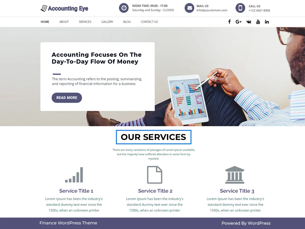 Finance Accounting web sitesi teması görseli