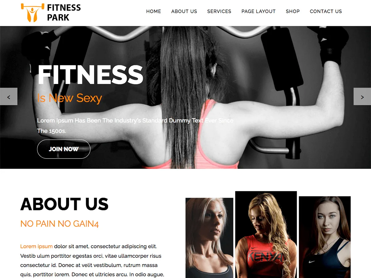 Fitness Park web sitesi teması ile spor salonu örnek görünümü
