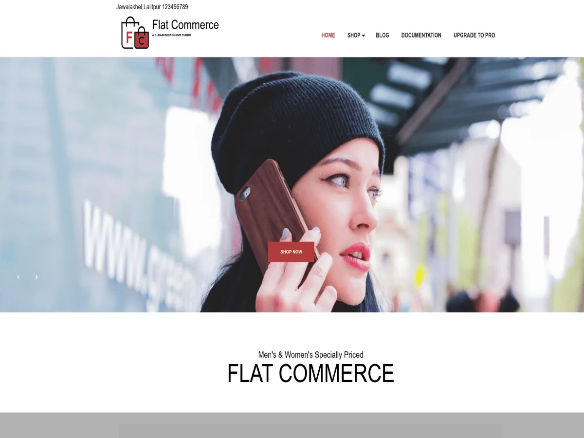 Flat Commerce web sitesi teması önizlemesi