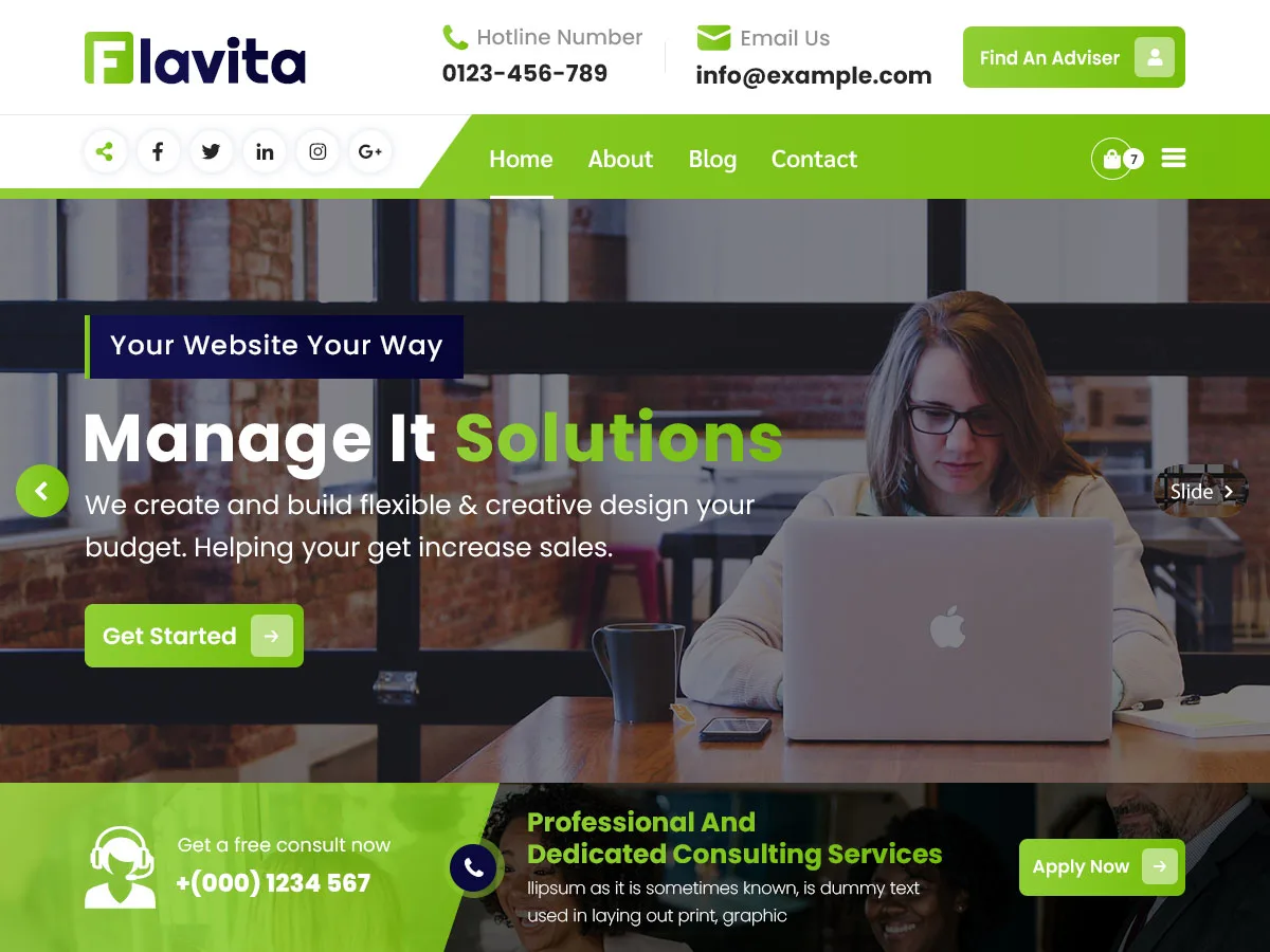 Flavita web sitesi teması önizlemesi
