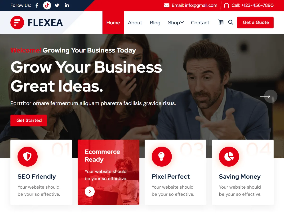 Flexea web sitesi teması ile tasarlanmış profesyonel bir web sitesi görünümü