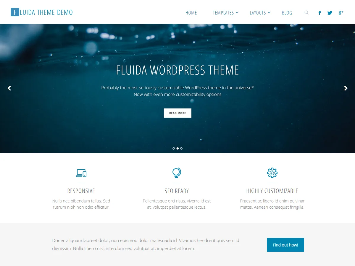 Fluida web sitesi teması önizlemesi