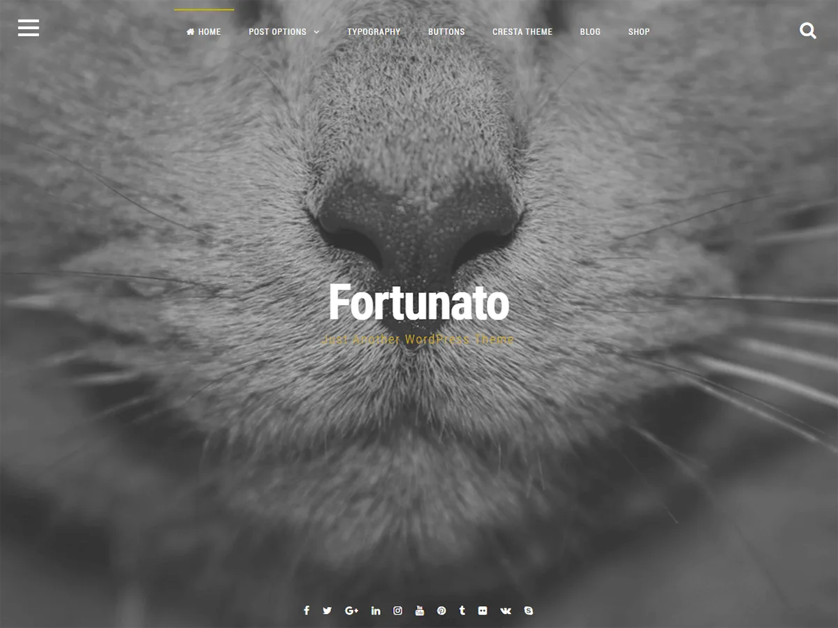 Fortunato web sitesi teması önizlemesi