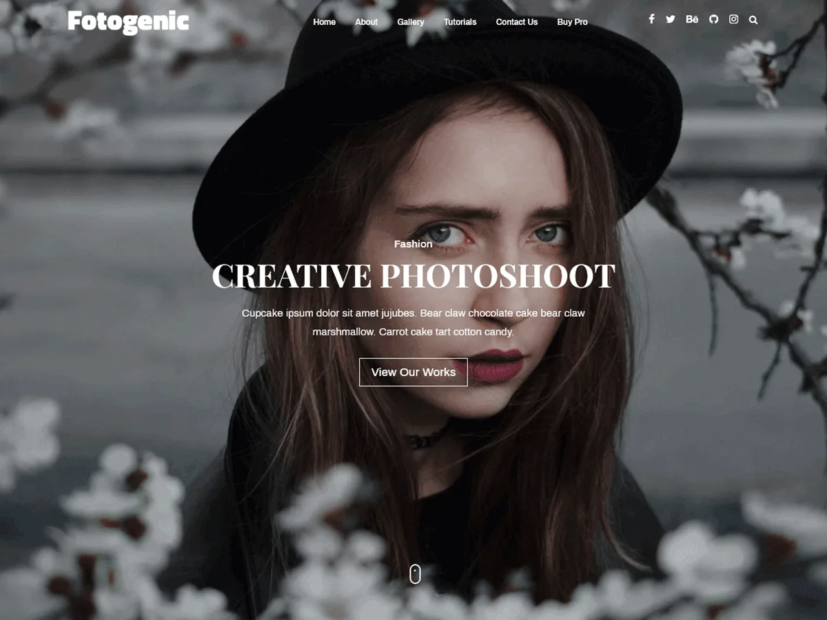 Fotogenic web sitesi teması ile oluşturulmuş modern ve temiz bir fotoğrafçılık sitesi görünümü