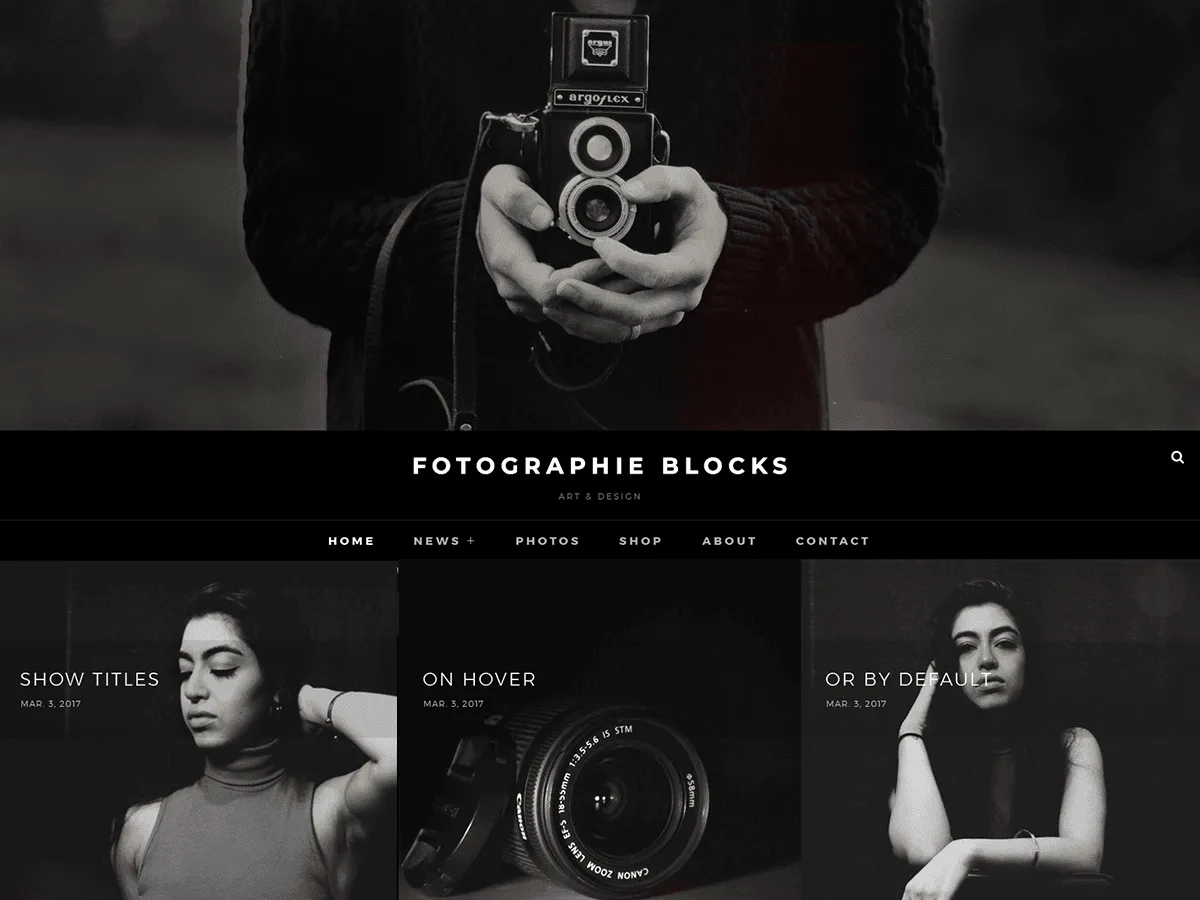 Fotografie Blocks web sitesi teması ile fotoğraf portfolyosu örneği