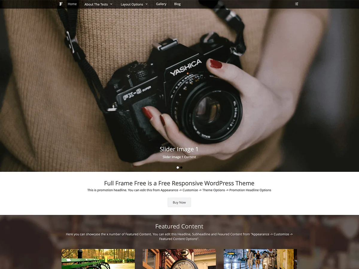 Full Frame web sitesi teması önizlemesi