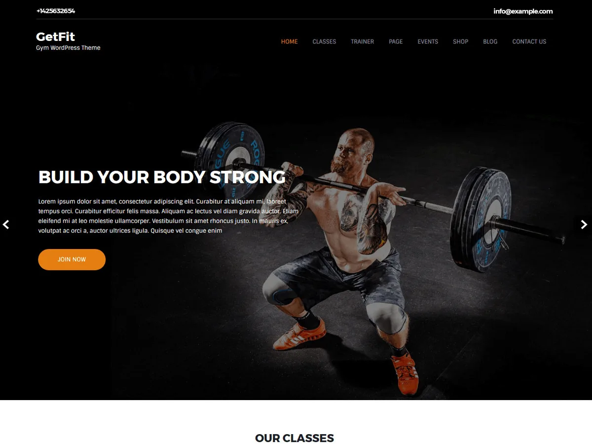 Getfit Lite web sitesi teması önizlemesi