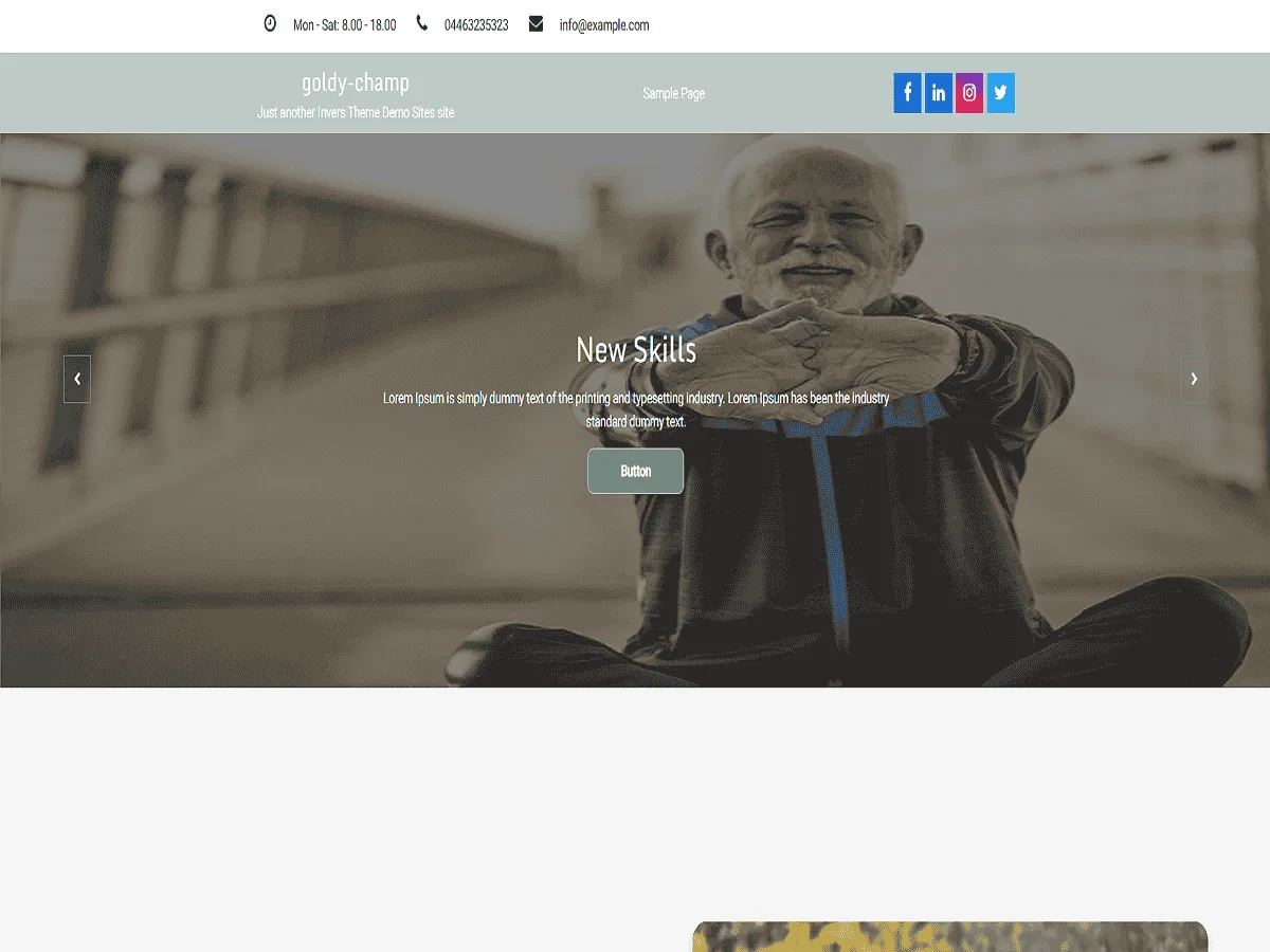 Goldy Champ web sitesi teması önizlemesi