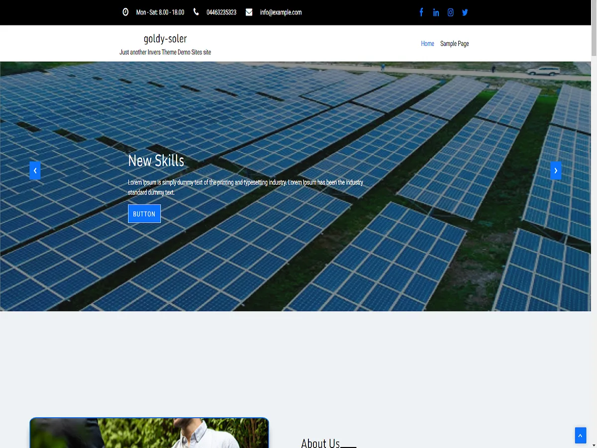 Goldy Soler web sitesi teması önizlemesi
