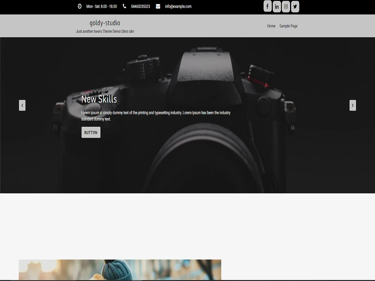 Goldy Studio web sitesi teması önizlemesi