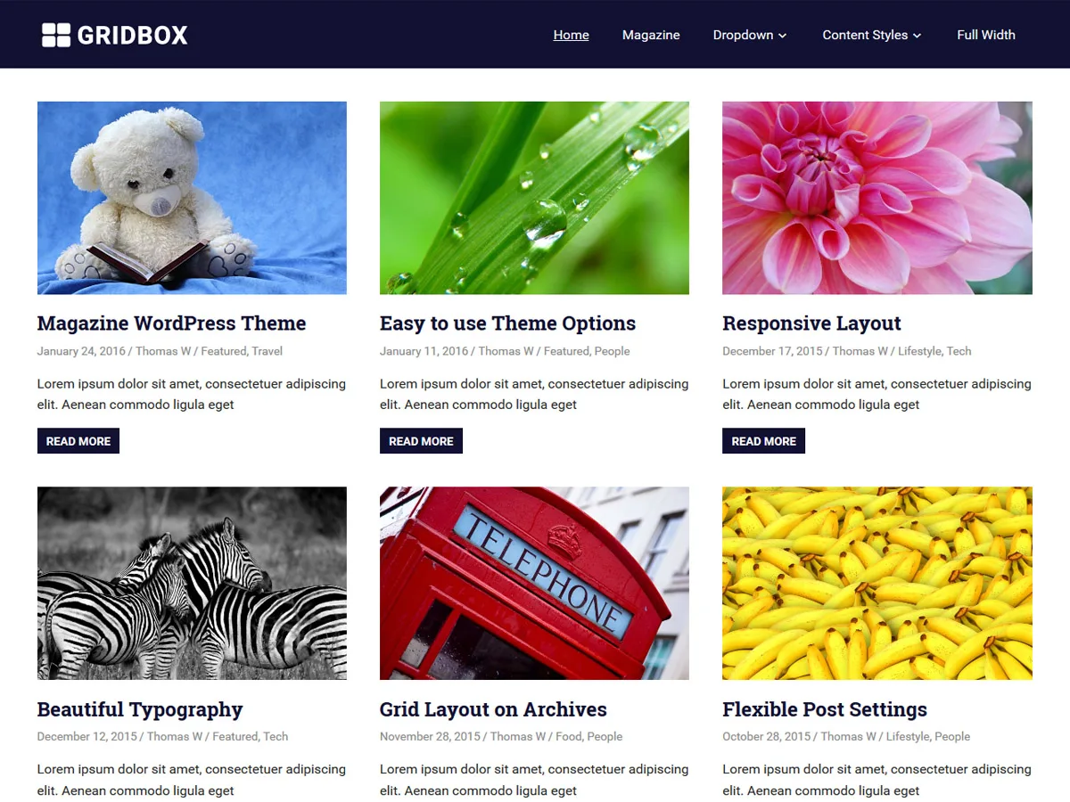 Gridbox web sitesi teması ile üç sütunlu ızgara düzeninde bir blog veya portfolyo sitesi görünümü