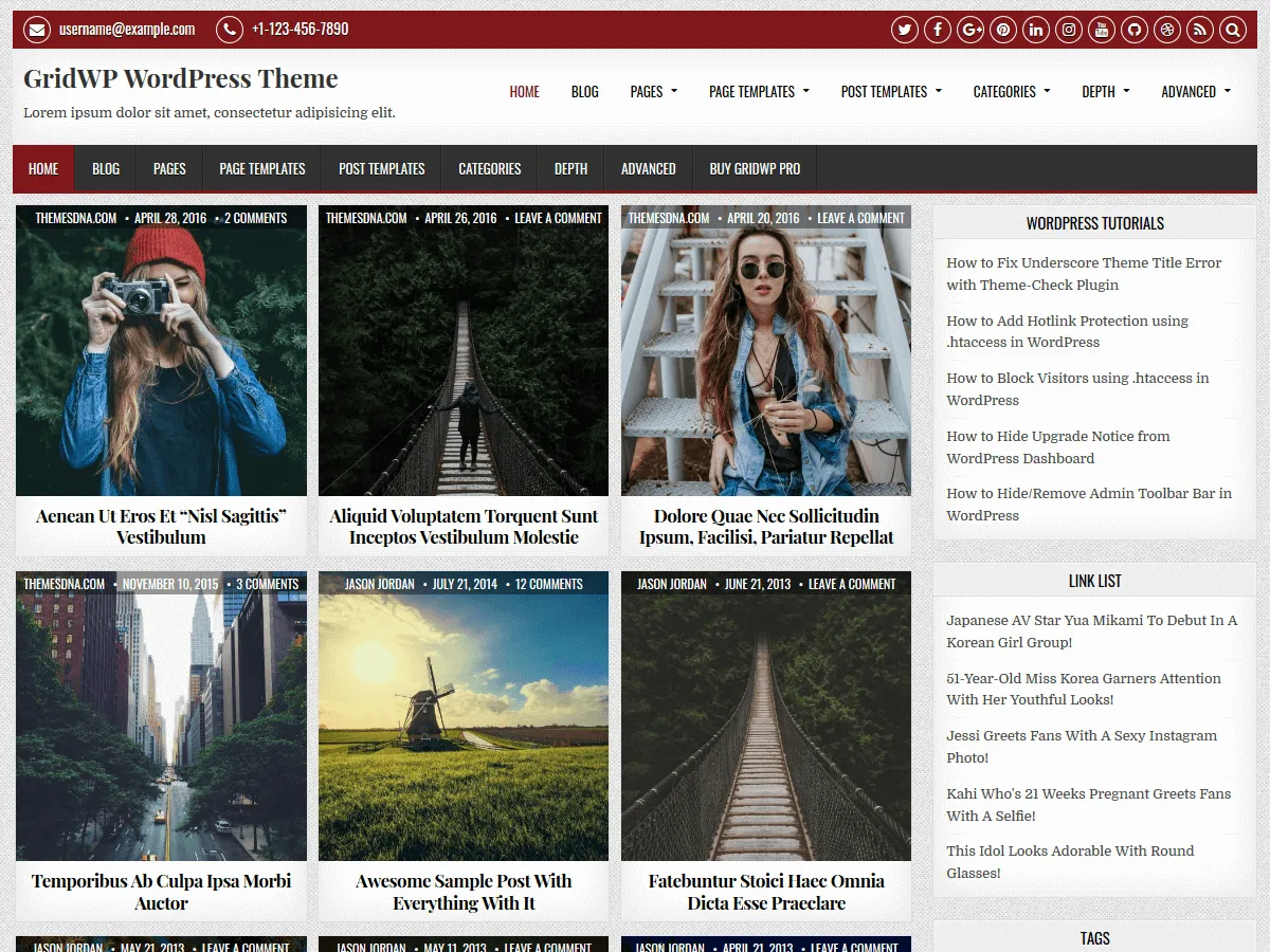 GridWP web sitesi teması önizlemesi