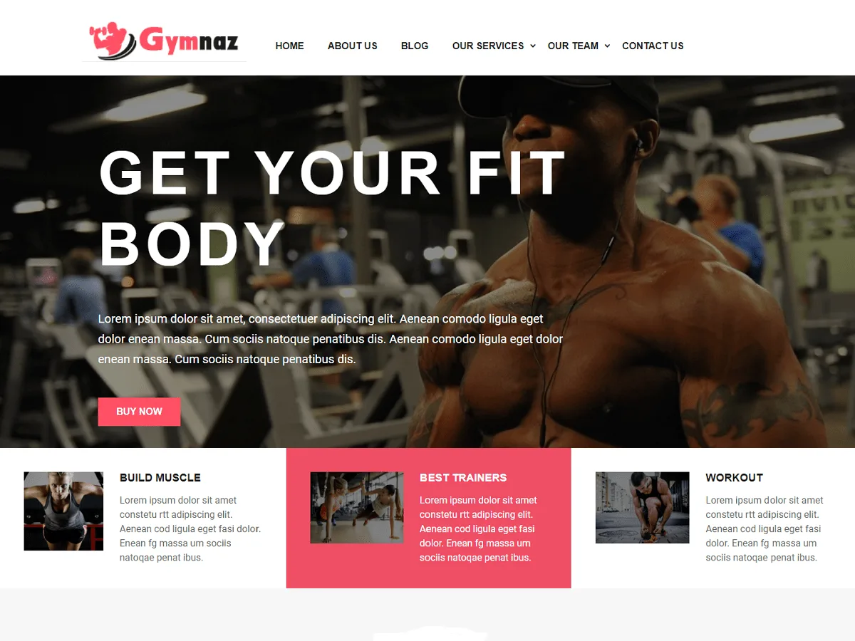 Gymnaz web sitesi teması önizlemesi