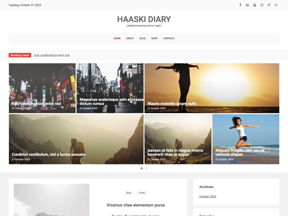 Haaski Diary web sitesi teması görseli