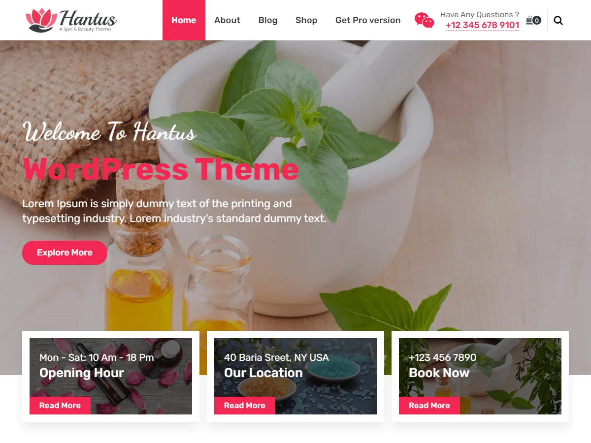 Hantus web sitesi teması spa ve wellness merkezleri için tasarım örneği