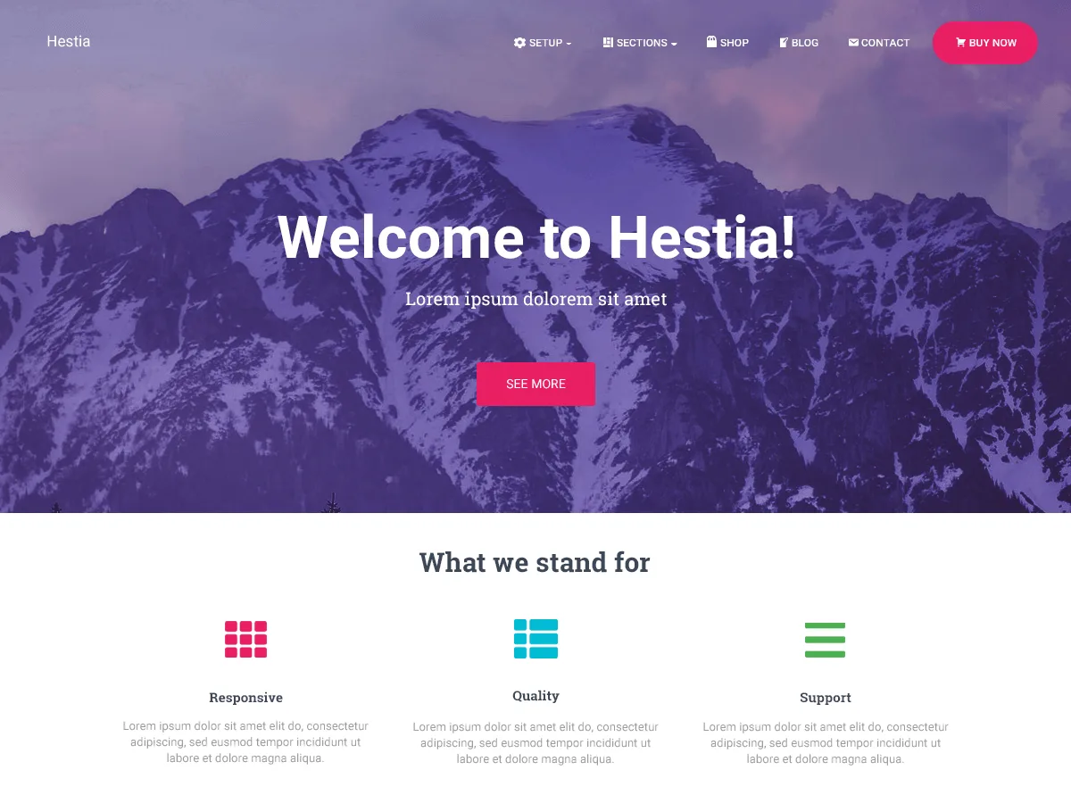 Hestia WordPress theme - modern multipurpose design