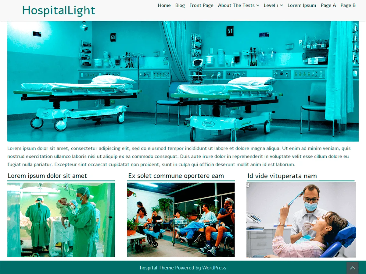 HospitalLight web sitesi teması ile sağlık kurumu web sitesi tasarımı