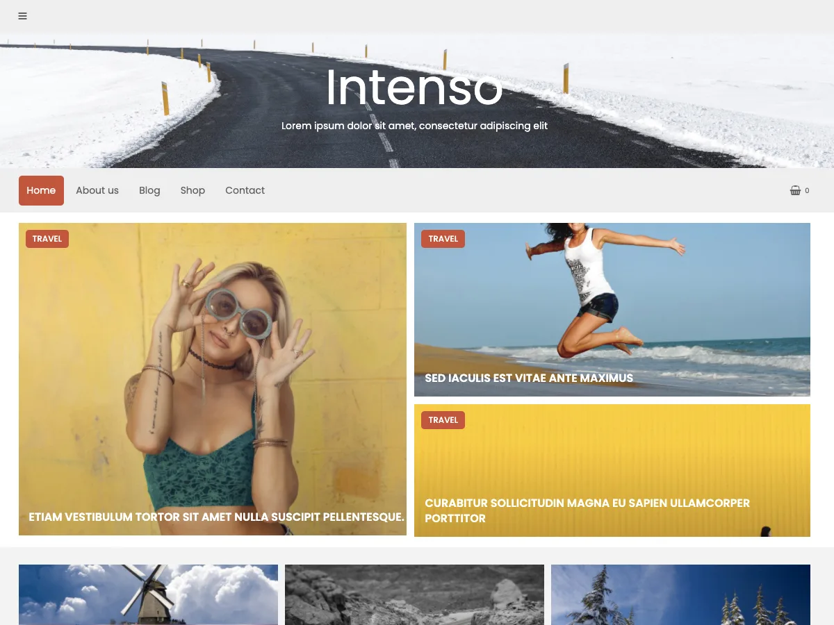 Intenso web sitesi teması önizlemesi